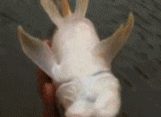 买新车幽默发朋友圈图片【买新车幽默发朋友圈文案】