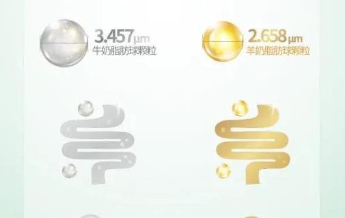 美力源羊奶粉怎么样查正品【美力源羊奶粉怎么样会上火吗】