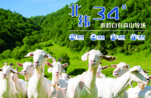 美力源羊奶粉怎么样查正品【美力源羊奶粉怎么样会上火吗】