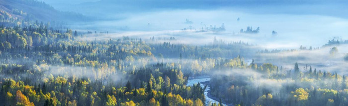 和过去说再见的句子的说说【和过去说再见的句子有哪些】