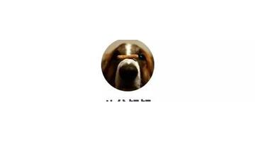 乱扔垃圾的危害【乱扔垃圾的小猫故事】