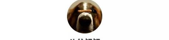 乱扔垃圾的危害【乱扔垃圾的小猫故事】