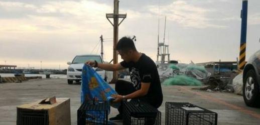 乱扔垃圾的危害【乱扔垃圾的小猫故事】