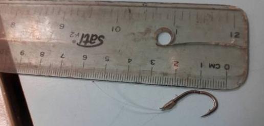 乱扔垃圾的危害【乱扔垃圾的小猫故事】