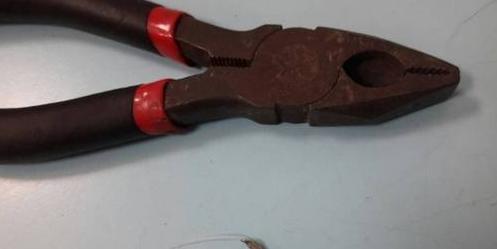 乱扔垃圾的危害【乱扔垃圾的小猫故事】