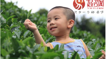 带玺字的男孩名【用玺字取名的忌讳】