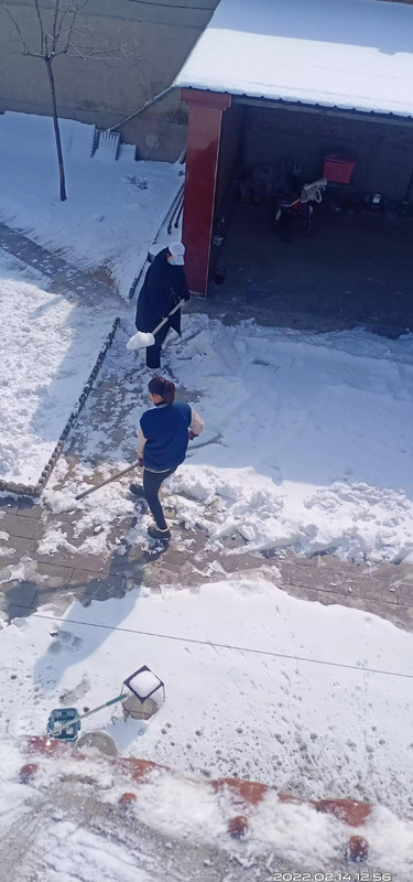 从小到大的句子怎么说【描述自己从小到大的句子】