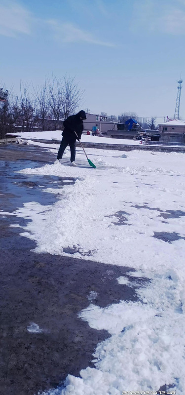 从小到大的句子怎么说【描述自己从小到大的句子】