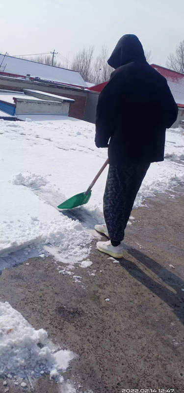 从小到大的句子怎么说【描述自己从小到大的句子】