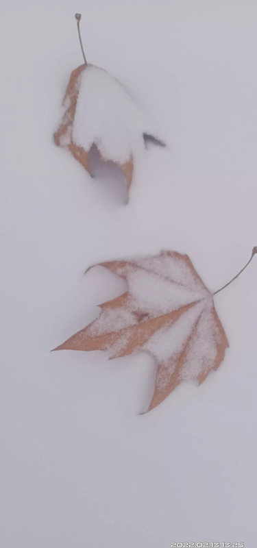 从小到大的句子怎么说【描述自己从小到大的句子】