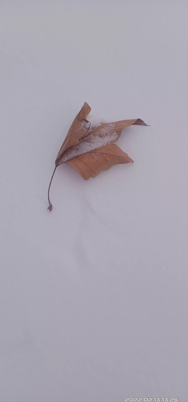 从小到大的句子怎么说【描述自己从小到大的句子】