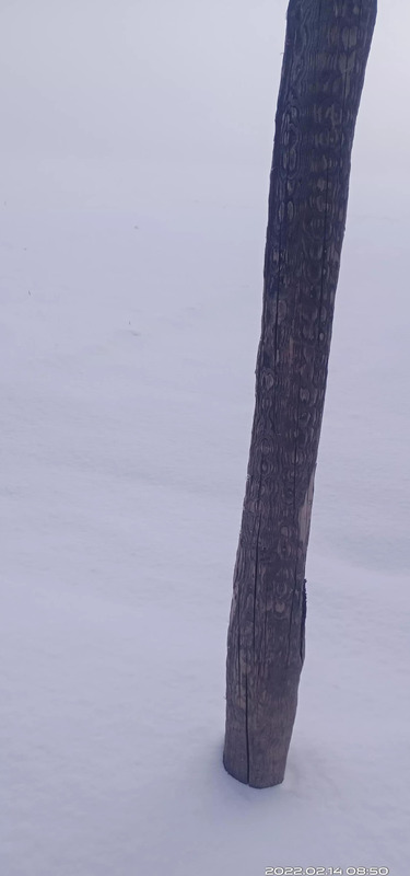 从小到大的句子怎么说【描述自己从小到大的句子】