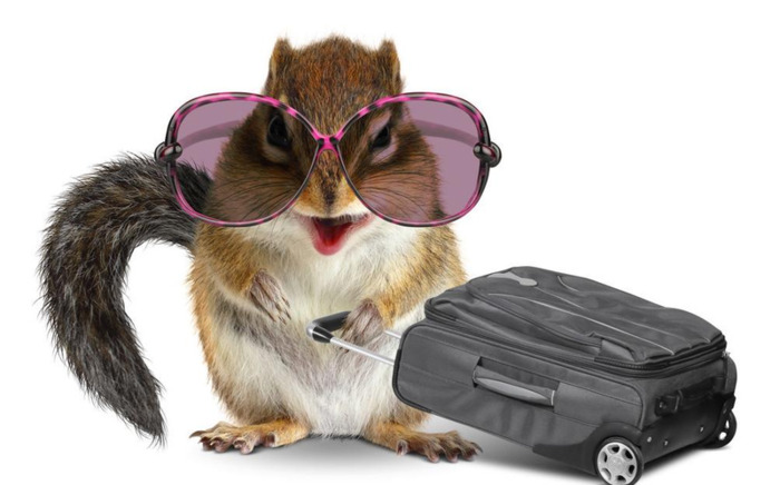 性缓文言文翻译注释【性缓小古文原文朗读】