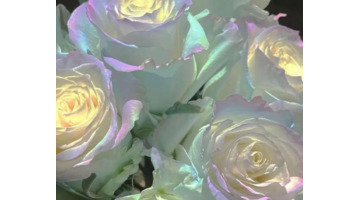 三观正的文案短句关于爱情【三观正的文案短句8字】