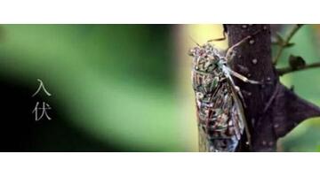 2019年三伏天具体时间几点几分【2019年三伏天时间表都有几天】