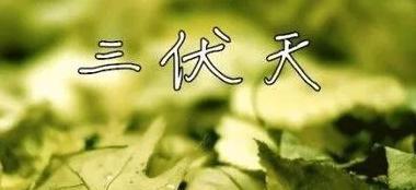 2019年三伏天具体时间几点几分【2019年三伏天时间表都有几天】