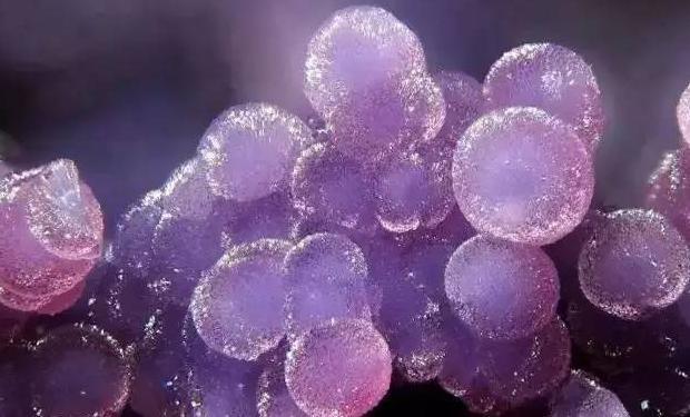 紫云母石的功效与作用抗癌之石【美国紫云母石的功效与作用】