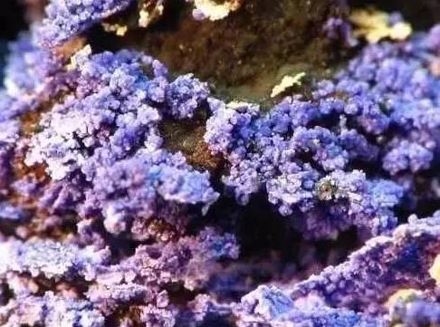 紫云母石的功效与作用抗癌之石【美国紫云母石的功效与作用】