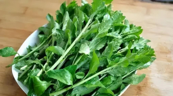 木乐镇【木乐芽野菜】