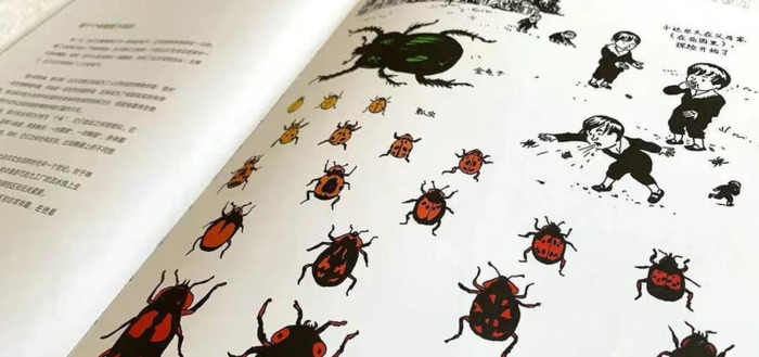 大象鼻子为什么是长的【大象鼻子当滑梯】