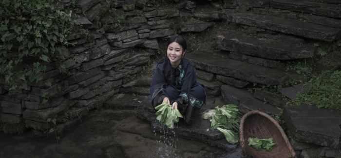 夜晚蟋蟀的叫声怎么形容【蟋蟀的叫声怎么形容词】