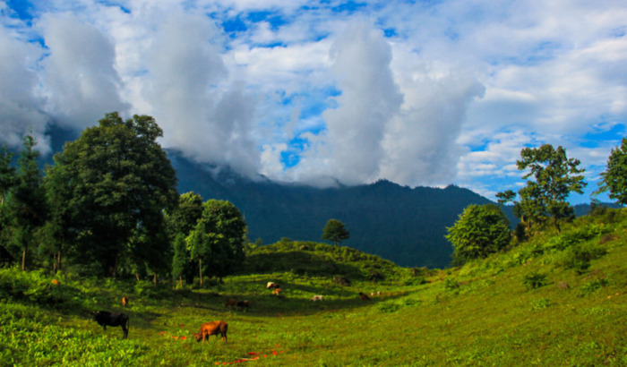 五一成都周边游哪里好【五一成都周边游两日游】