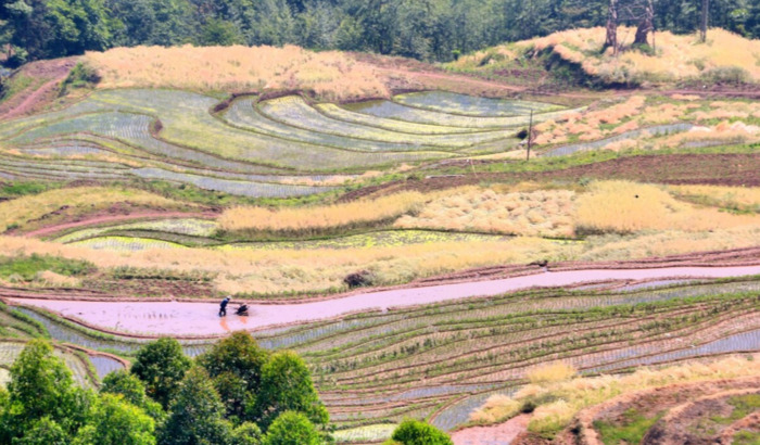 五一成都周边游哪里好【五一成都周边游两日游】