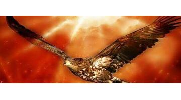 十二星座的守护神兽龙【十二星座的守护神奥特曼】