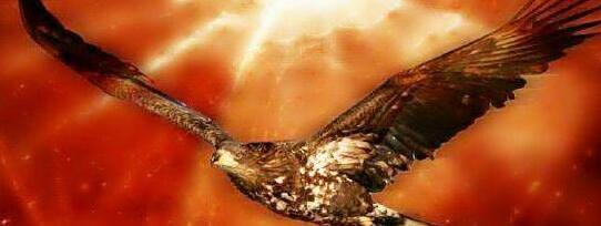 十二星座的守护神兽龙【十二星座的守护神奥特曼】