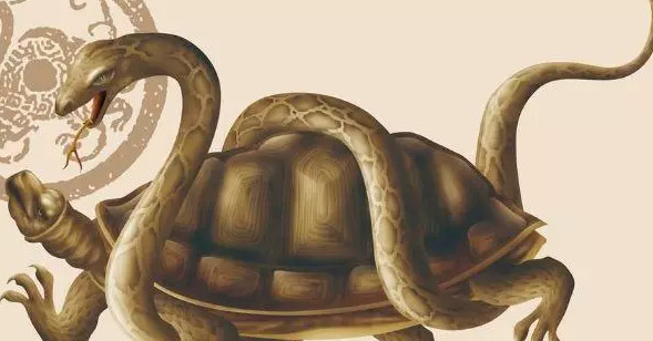 十二星座的守护神兽龙【十二星座的守护神奥特曼】