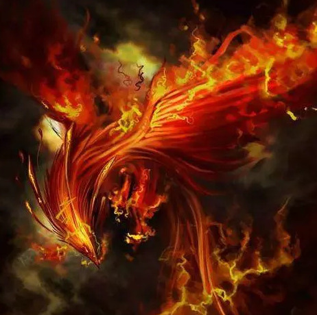 十二星座的守护神兽龙【十二星座的守护神奥特曼】