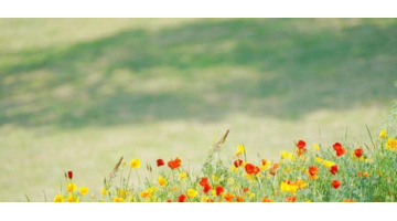 提醒大家随手关门的标语【提醒随手关门的幽默标语】