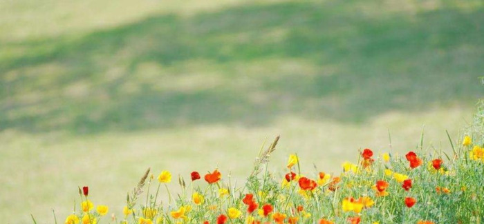 提醒大家随手关门的标语【提醒随手关门的幽默标语】