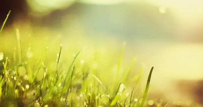 提醒大家随手关门的标语【提醒随手关门的幽默标语】