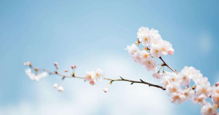 提醒大家随手关门的标语【提醒随手关门的幽默标语】