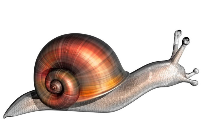 三年级作文蜗牛健步如飞发挥想象力写作文【三年级作文蜗牛健步如飞250字】