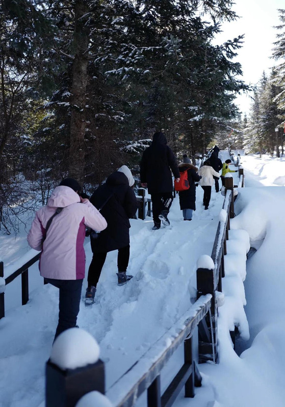 哈尔滨国际旅游【哈尔滨国内旅游】