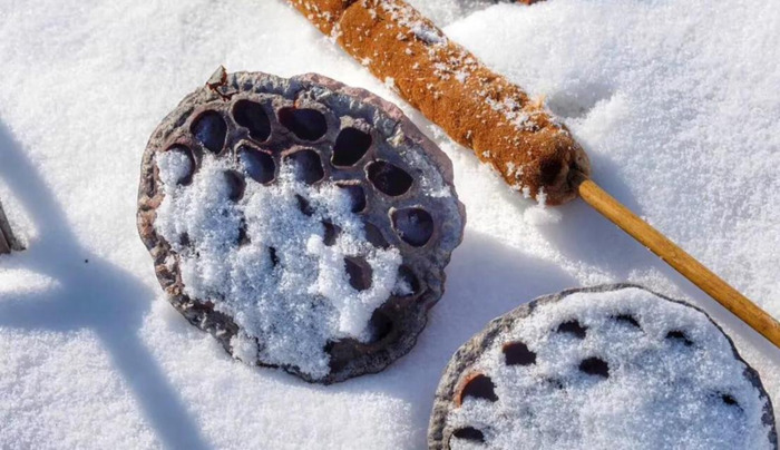 哈尔滨国际旅游【哈尔滨国内旅游】