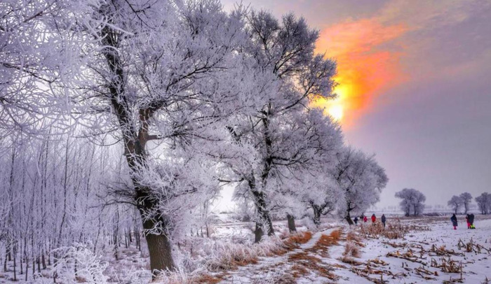 哈尔滨国际旅游【哈尔滨国内旅游】