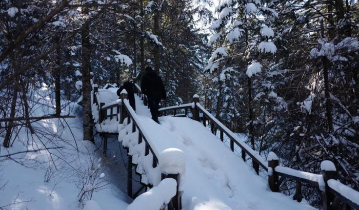 哈尔滨国际旅游【哈尔滨国内旅游】