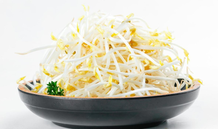 观察日记400字优秀作文.植物【观察日记400字优秀作文黄豆芽】