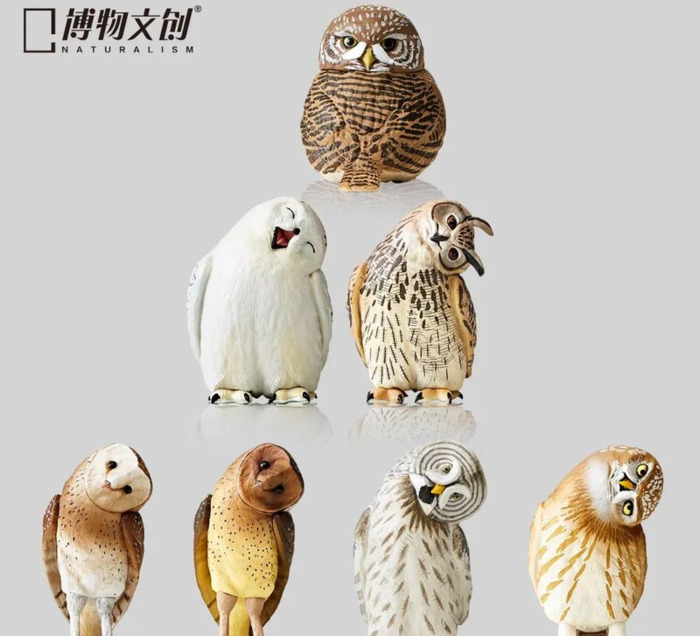 苔藓植物图片及名称【苔藓植物图片简笔】