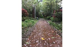 借雨寄托思念的文字【用雨水表达思念的句子】