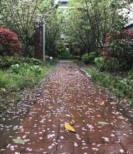 借雨寄托思念的文字【用雨水表达思念的句子】