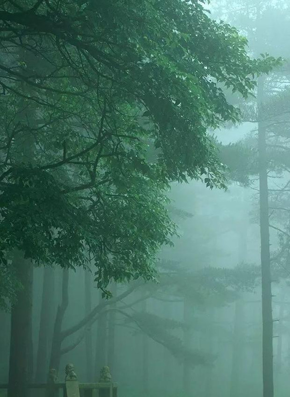 借雨寄托思念的文字【用雨水表达思念的句子】