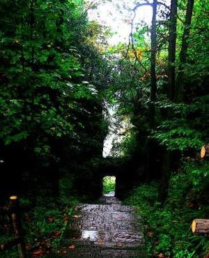 借雨寄托思念的文字【用雨水表达思念的句子】