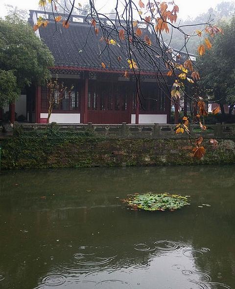 借雨寄托思念的文字【用雨水表达思念的句子】