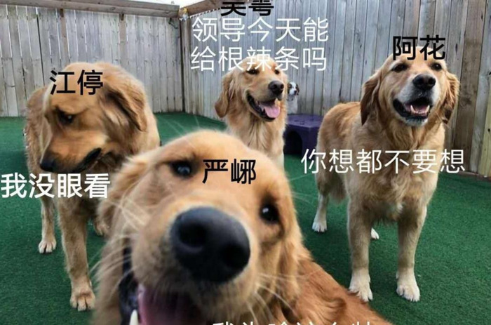 闻劭×江停KQ车【闻劭×江停KQ】