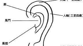 耳朵大的男人的命运【耳朵小的男人的命运,没有福气】