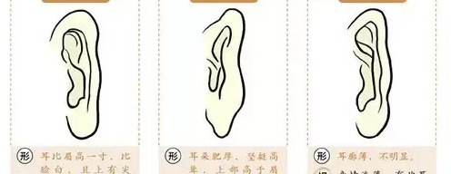 耳朵大的男人的命运【耳朵小的男人的命运,没有福气】
